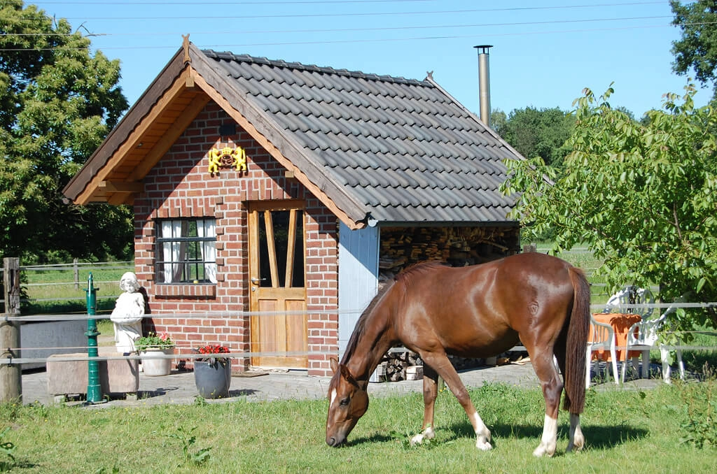 isselburg.ponyhof-leiting