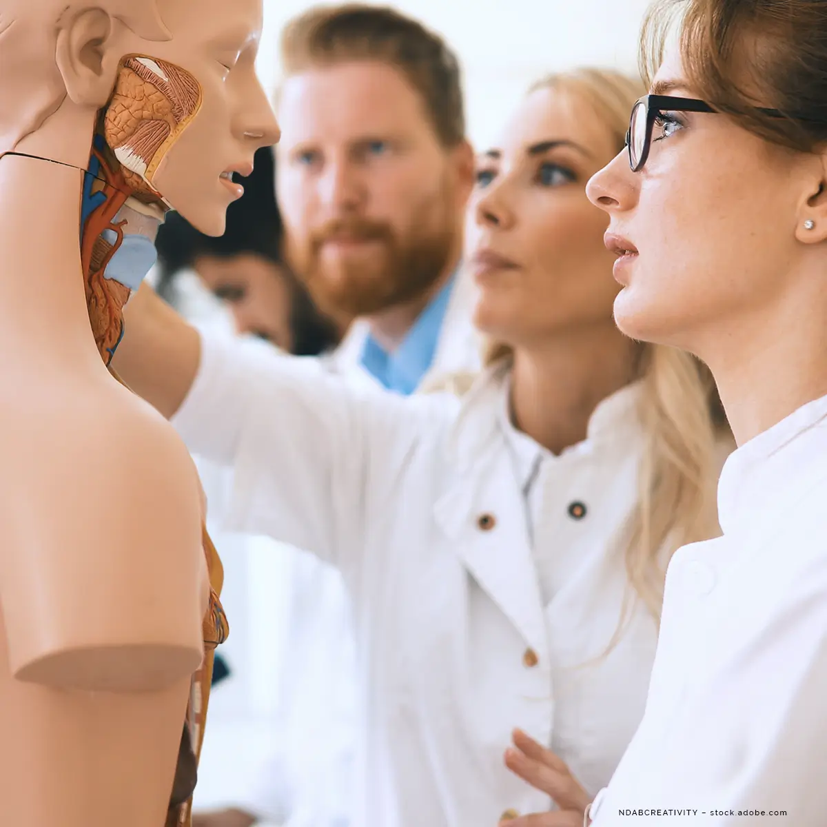 Drei angehende Mediziner schauen sich die Anatomie an einer Puppe an.